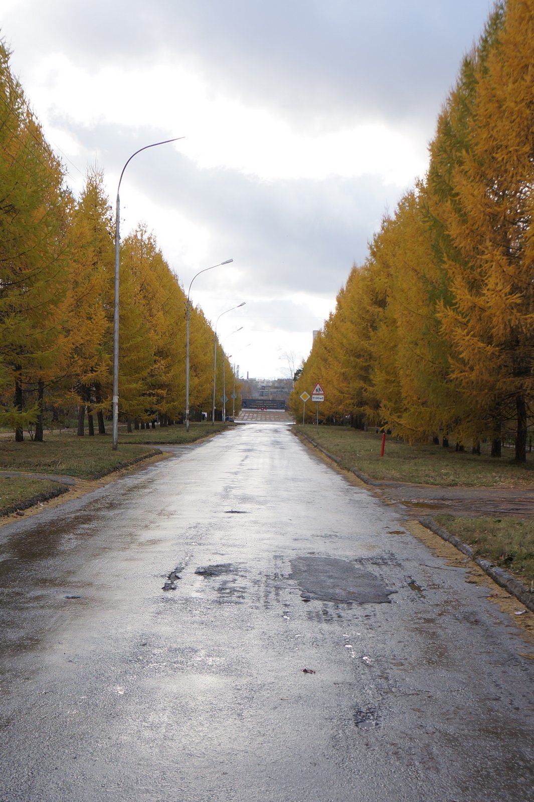 Featured image of post Осень