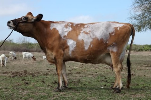 Featured image of post Карта мира