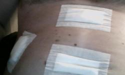 Featured image of post Пузо