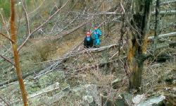 Featured image of post Громовая гора