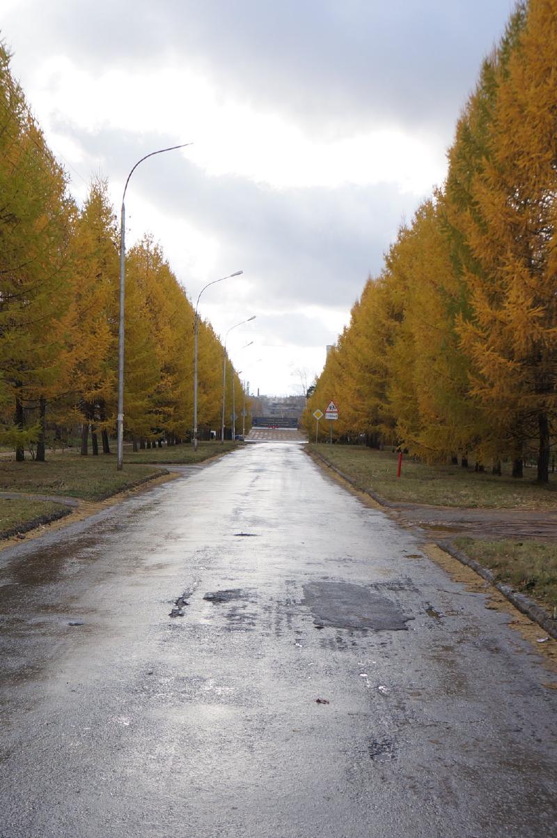 Featured image of post Осень