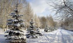 Featured image of post Hugo