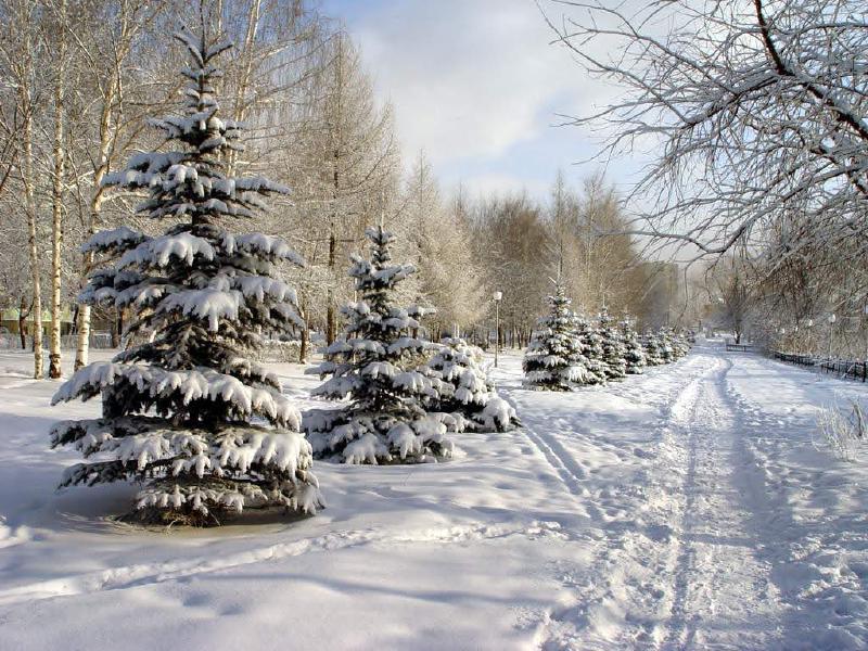 Featured image of post Hugo